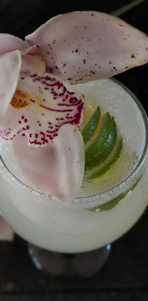 orchid cocktail