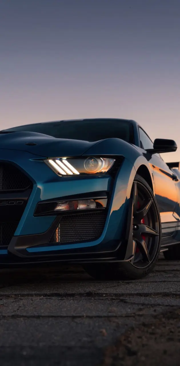 2020 Shelby GT-500