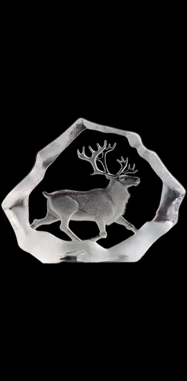Glass Elk