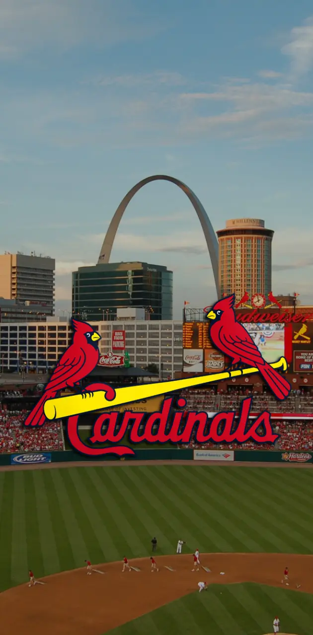 St Louis Cardinals  Cardinals wallpaper, St louis cardinals baseball, Stl cardinals  baseball