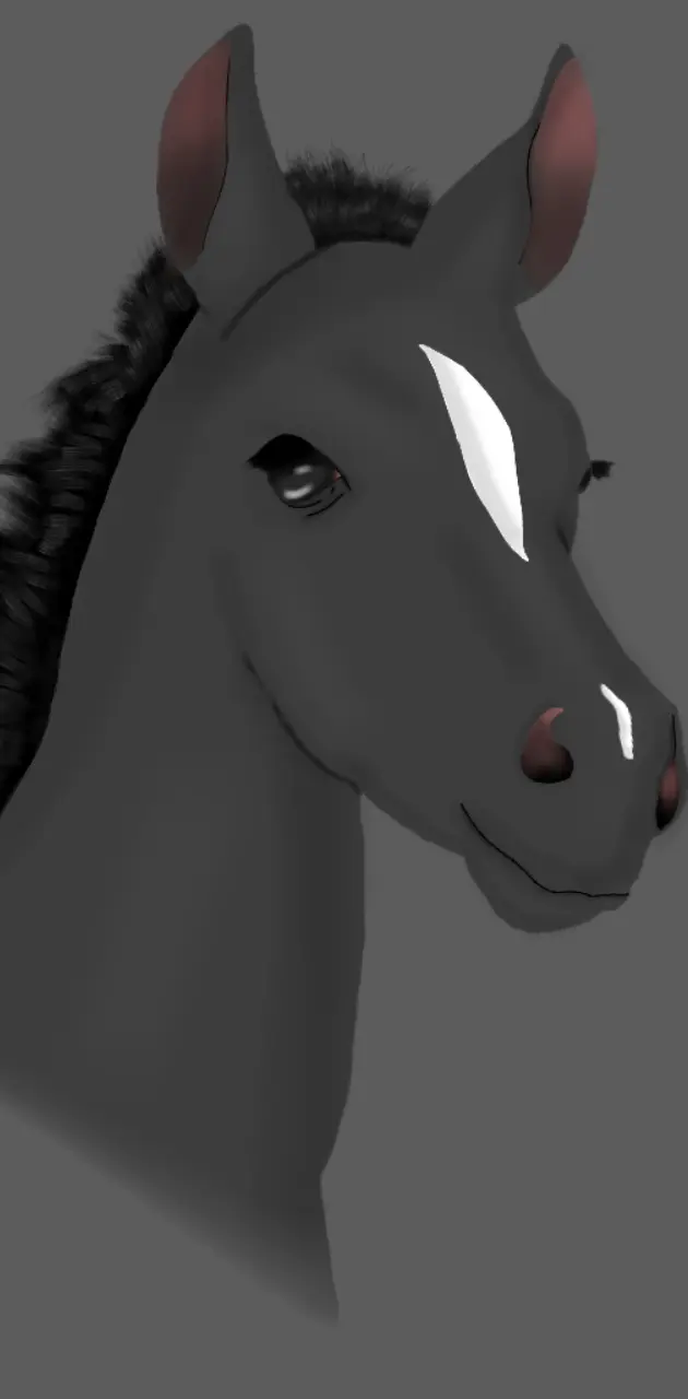 Black Foal Art