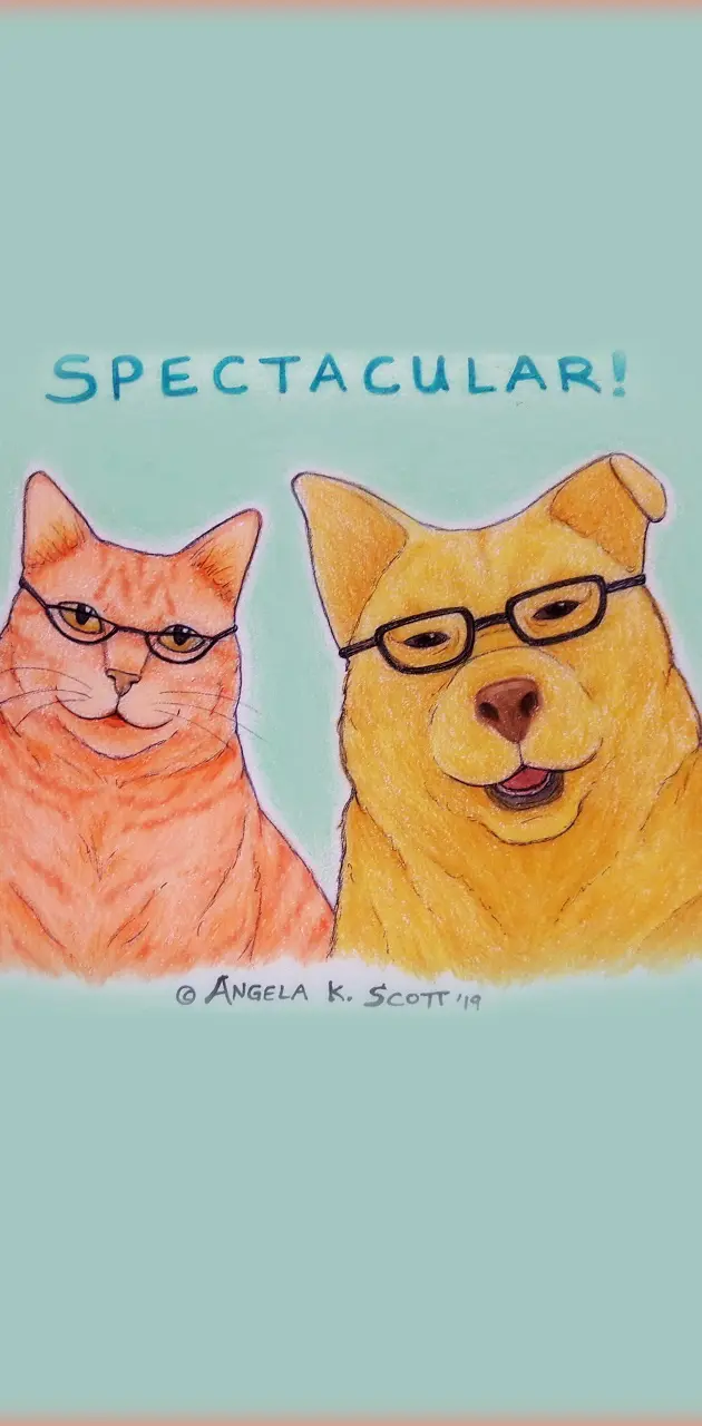 Cat and Dog Glasses