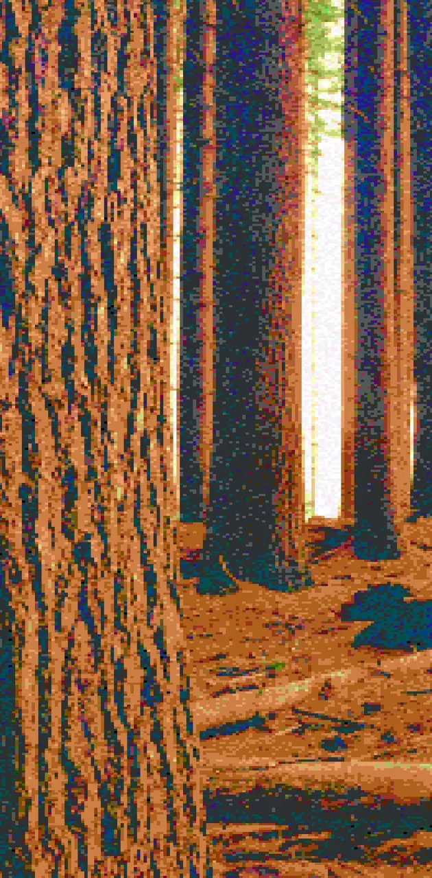 8-bit forest