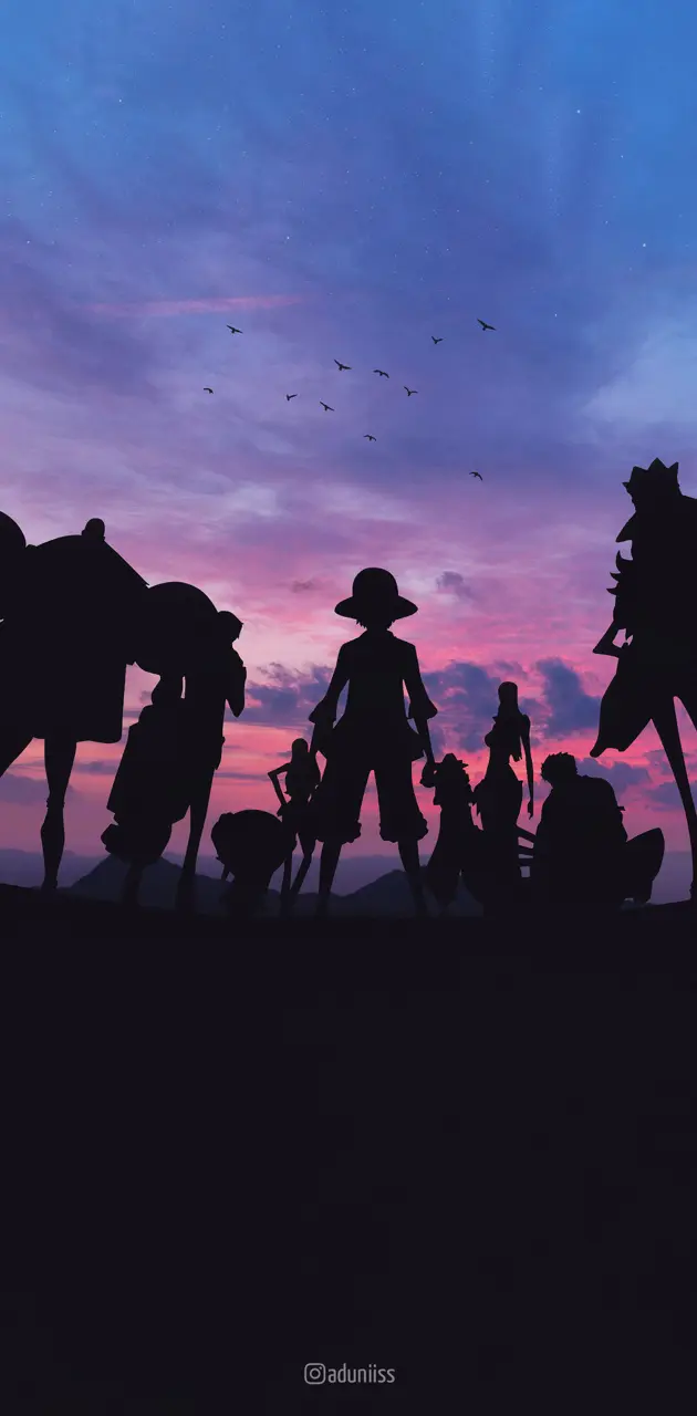 One Piece Silhouette 