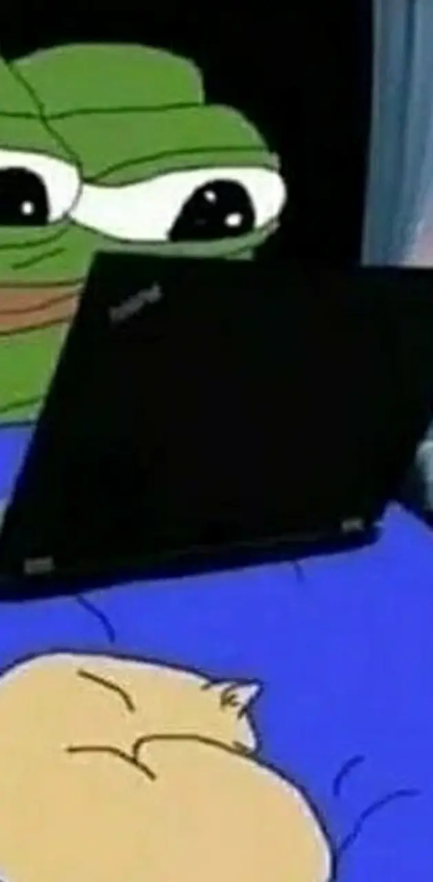 Pepe on laptop