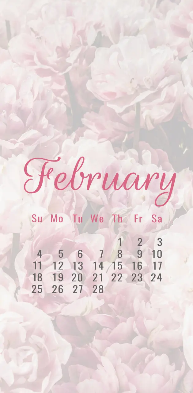 Rosy February