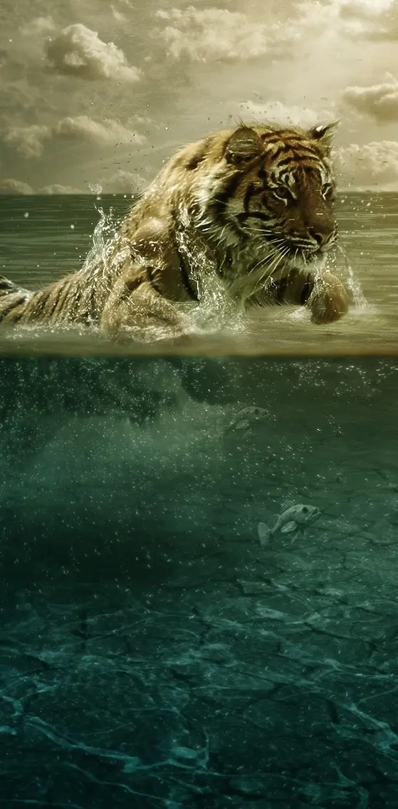 Tiger In Sea