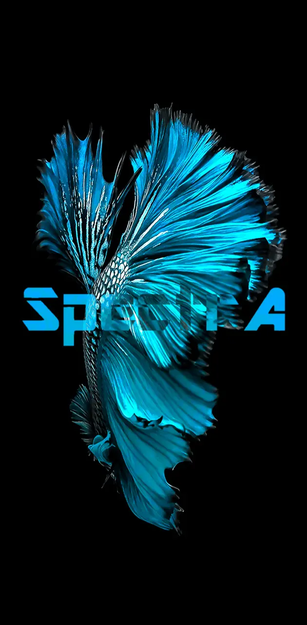 SpectrA Fish 4