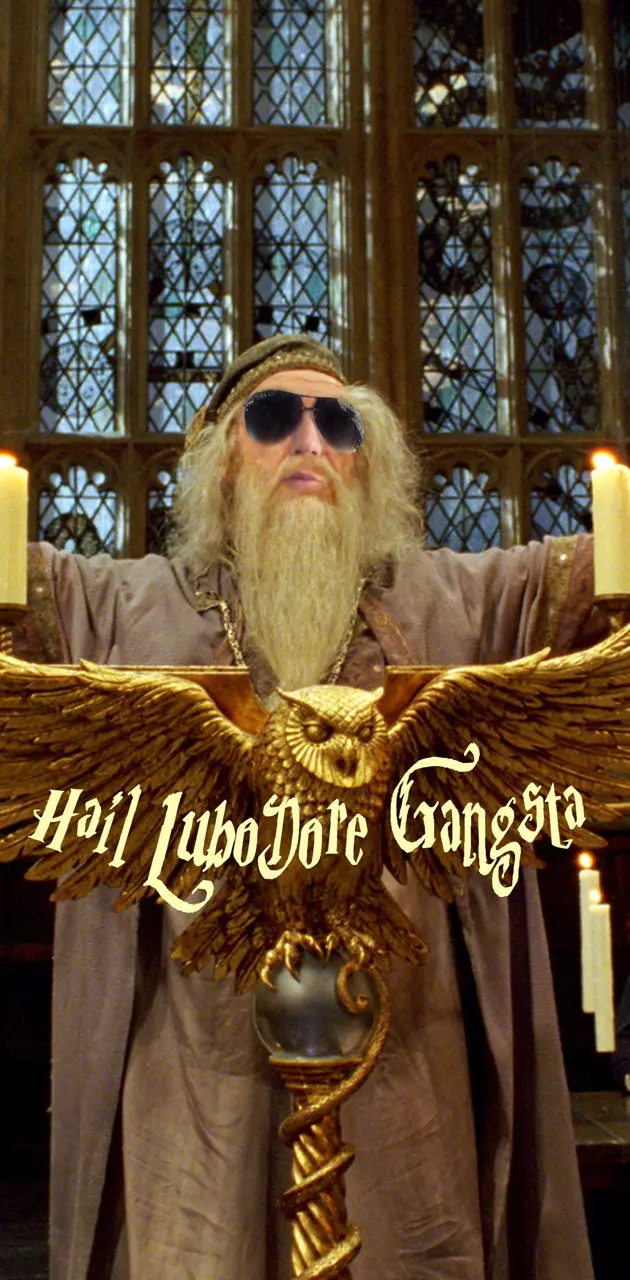 Lubo Dumbledore