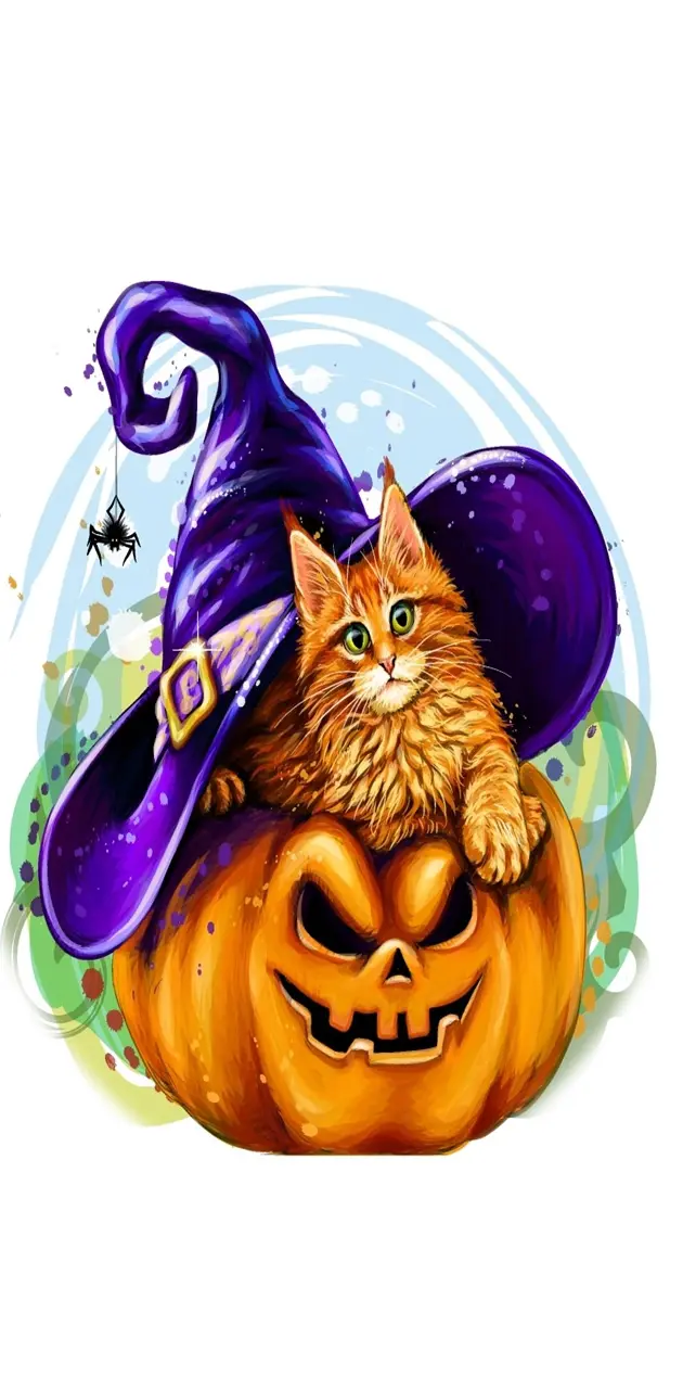 Witch Kitty Pumpkin