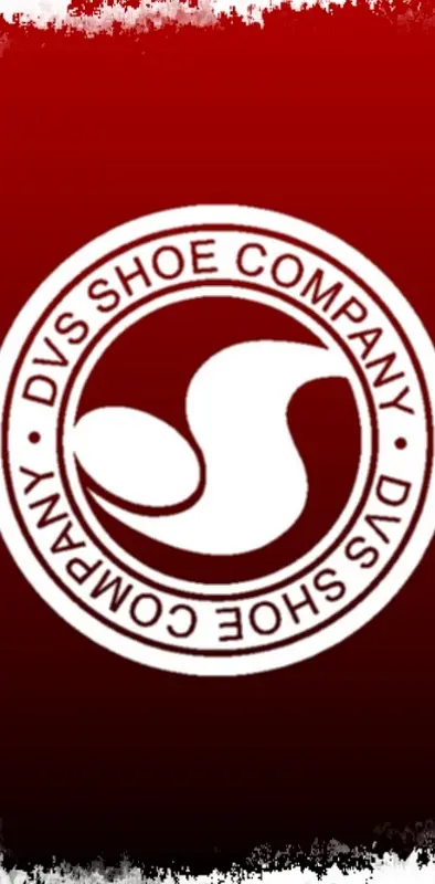Dvs Logo