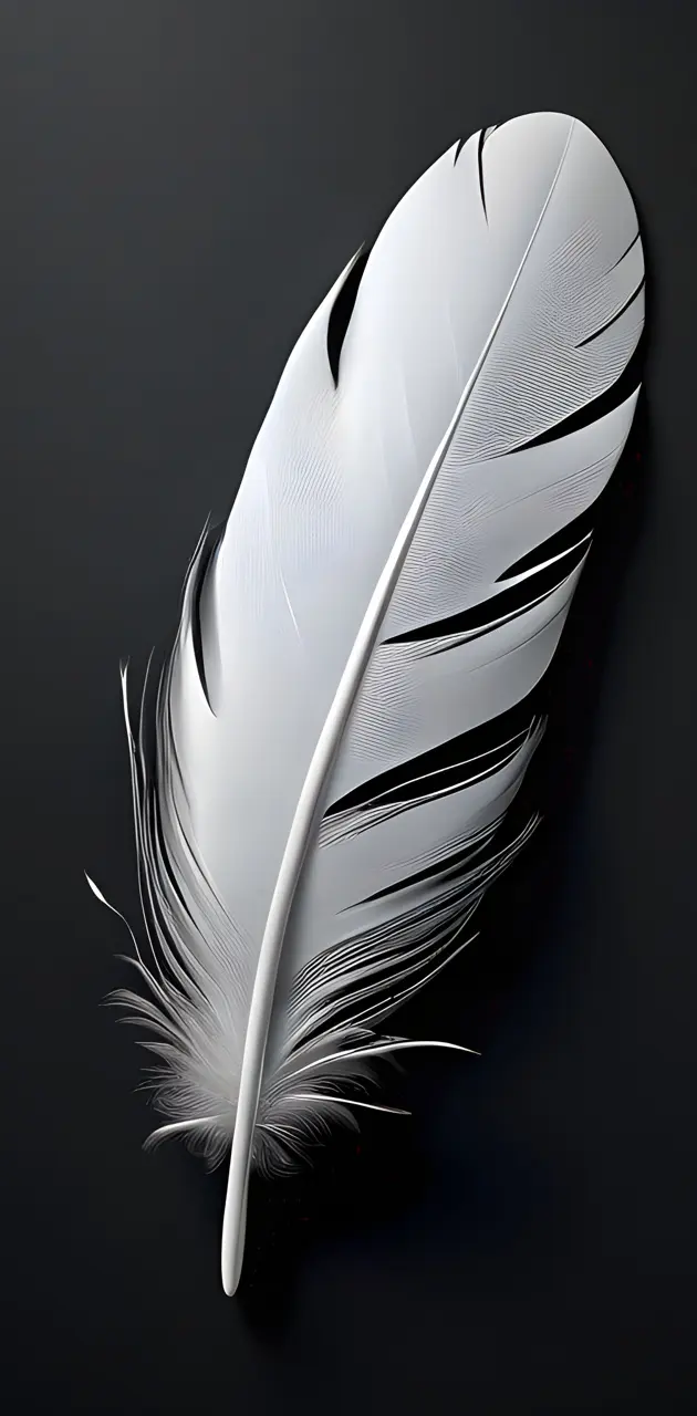 White colour feather is on the black paper