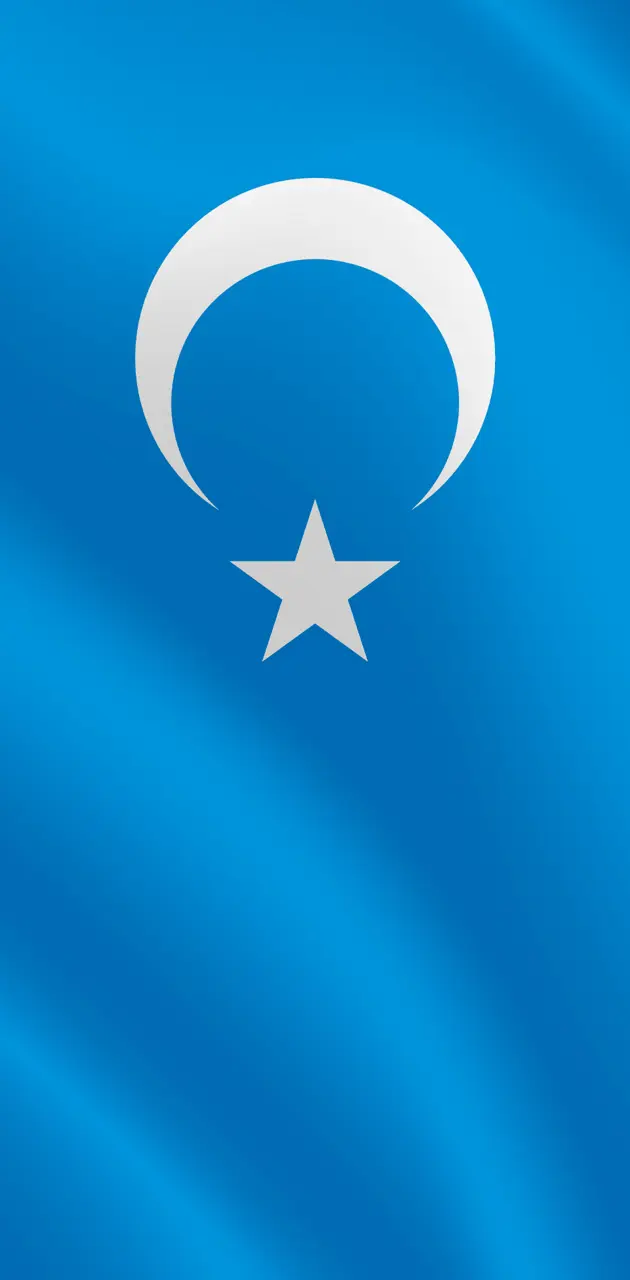  East Turkestan flag