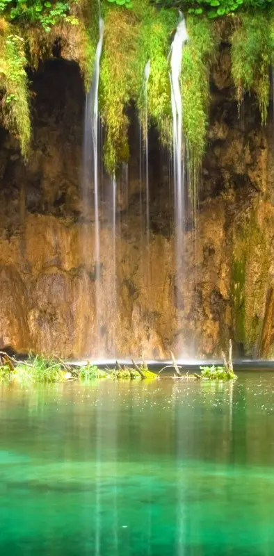 Jungle Water Fall