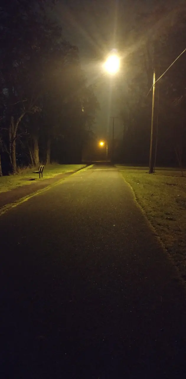 The walk at night