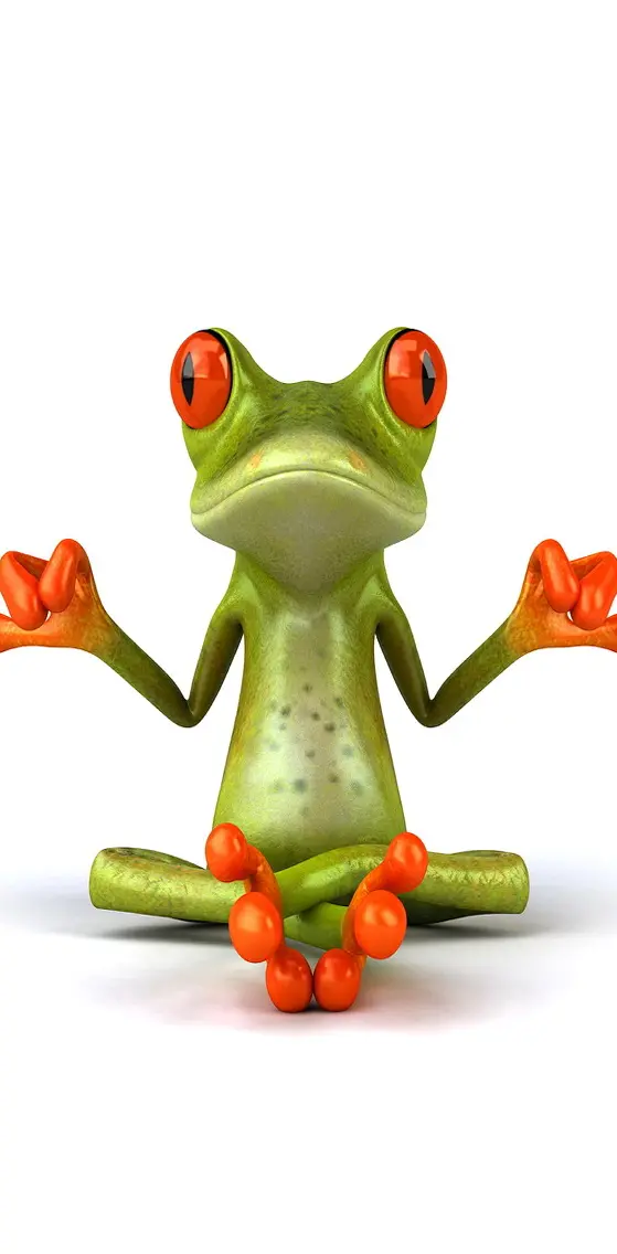Frog In Yoga