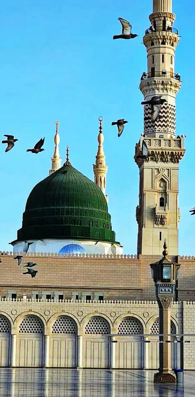 The Prophet’s Mosque 