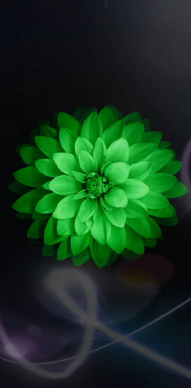 Green Flower Streaks wallpaper by segordon - Download on ZEDGE™ | f6cb