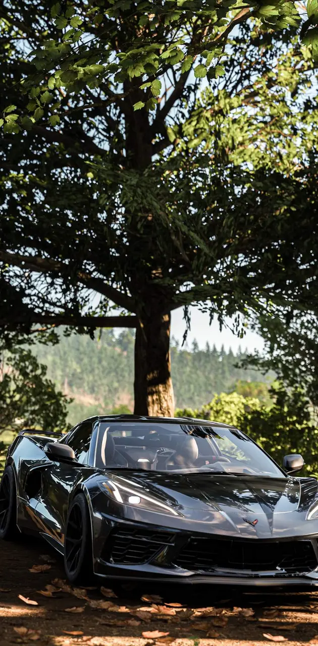 Corvette C8 