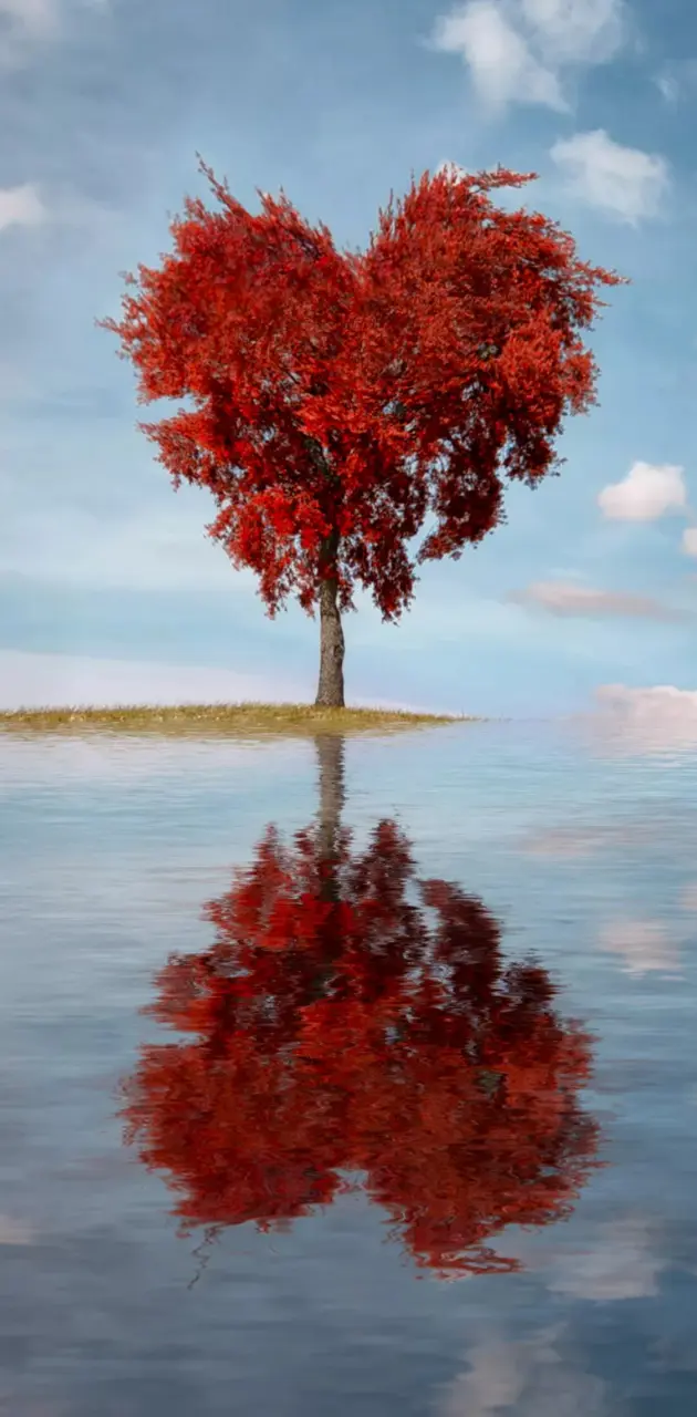 Red heart tree
