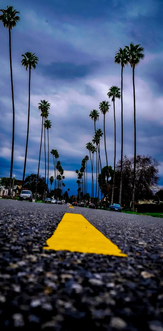 Cloudy Los Angeles Street Palmtrees