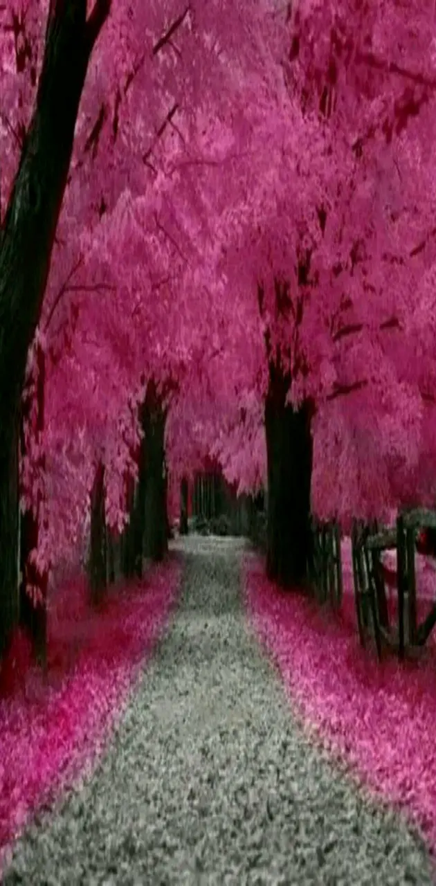 Nature in Pink