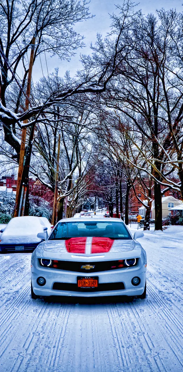 Snow Camaro