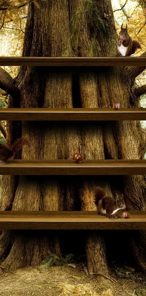 Tree Shelves