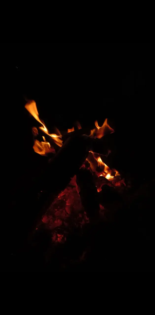 Fuego de noche