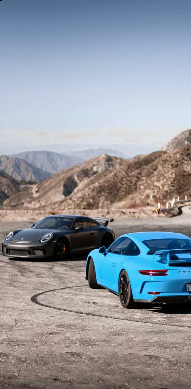 Porsche Brothers