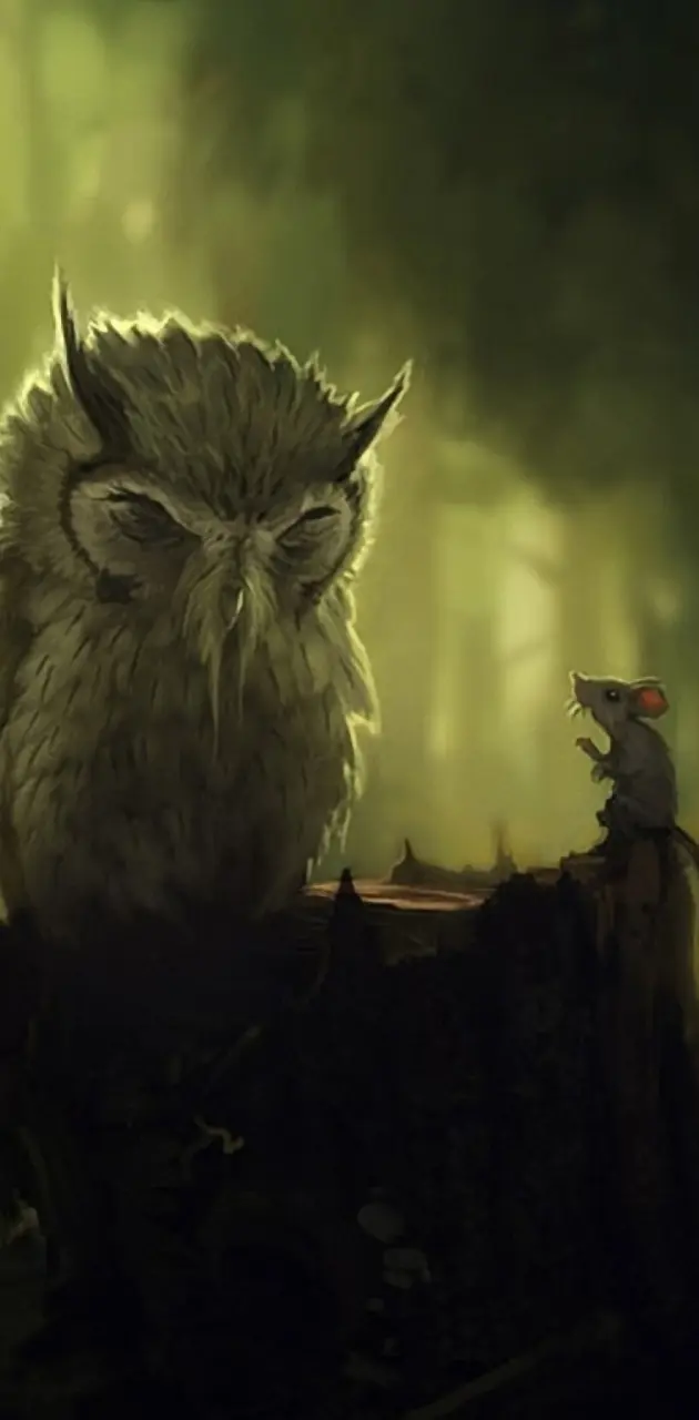 Wise Owl