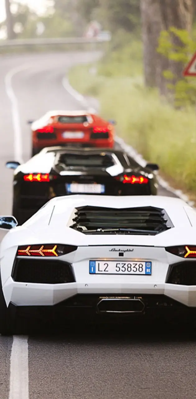 Lamborghinis