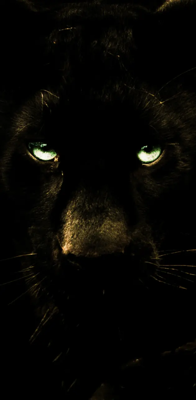 Black Panther Puma