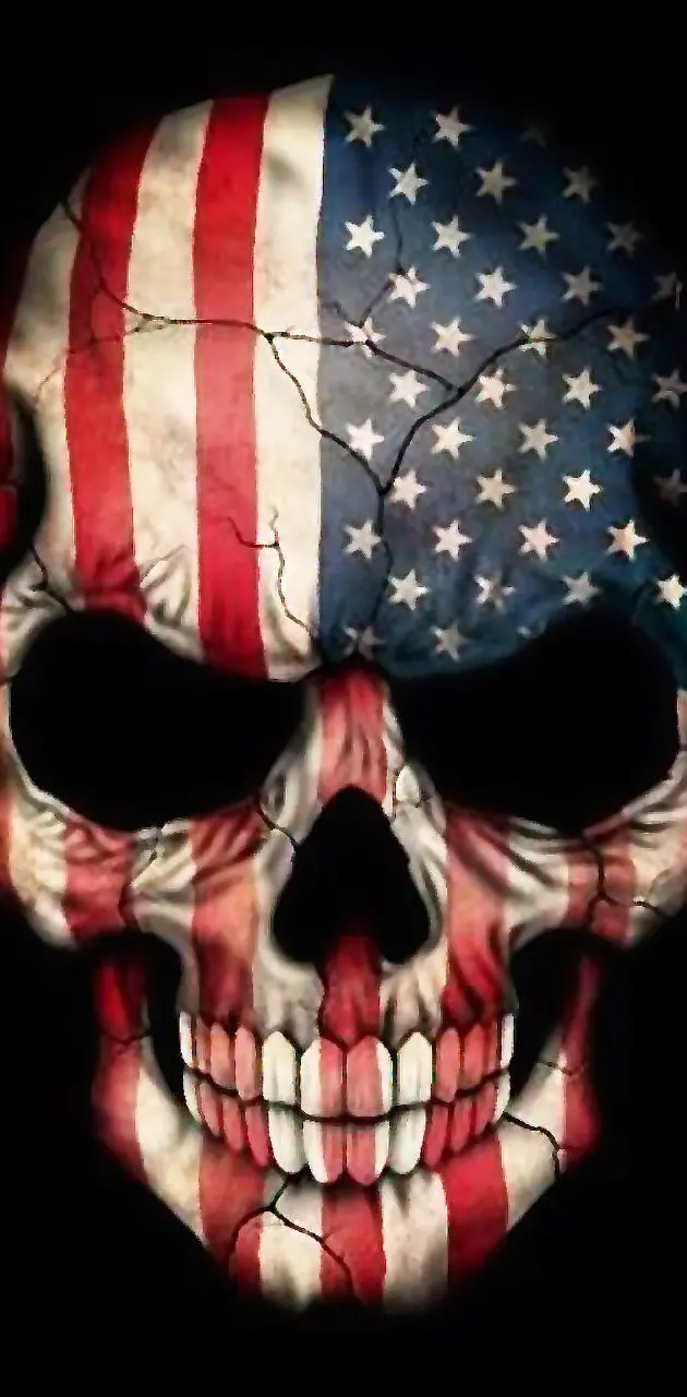 American skull