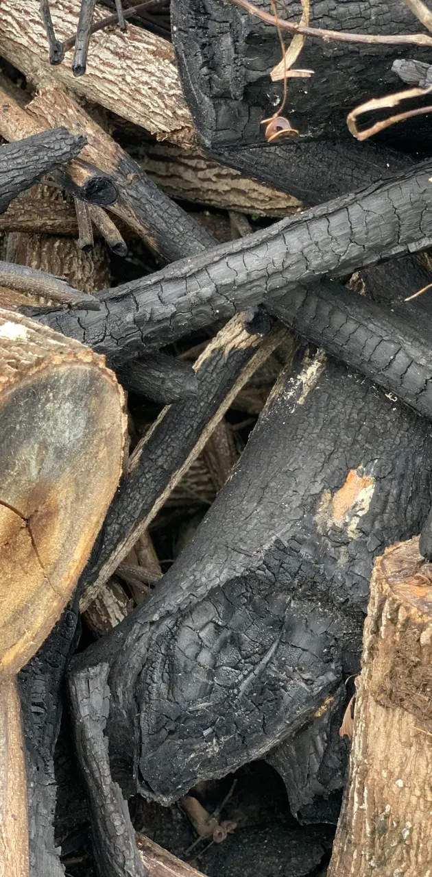 Burnt wood