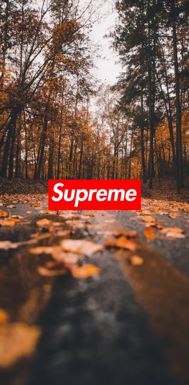 Fall Supreme