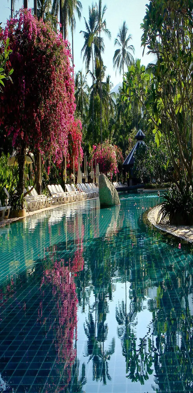 Pool garden