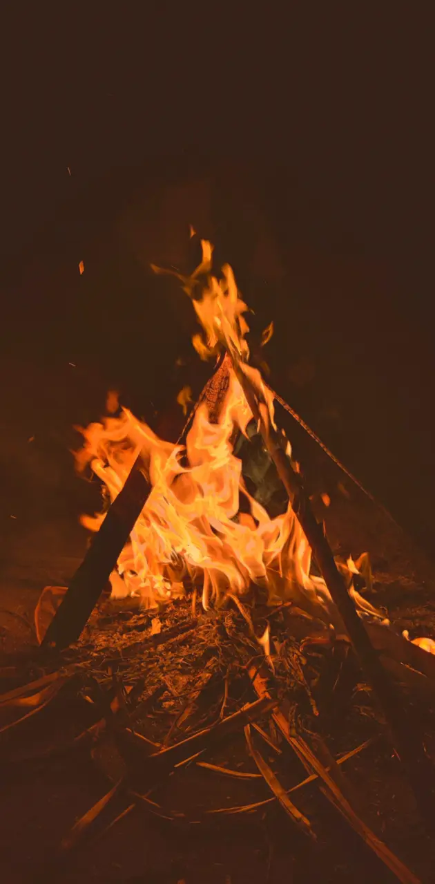 Bonfire Fire camp