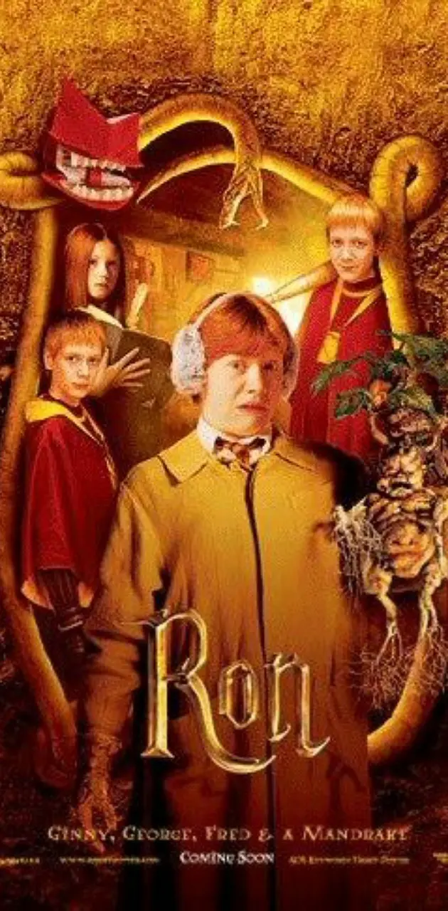 Harry Potter Ron