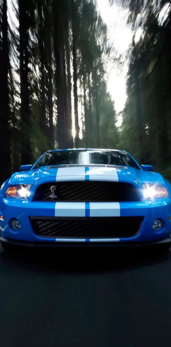 Mustang shelby