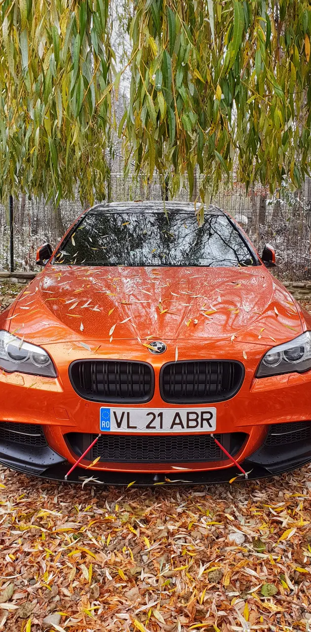 BMW F10 ABR Orange 