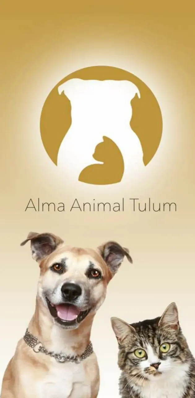 Alma animal