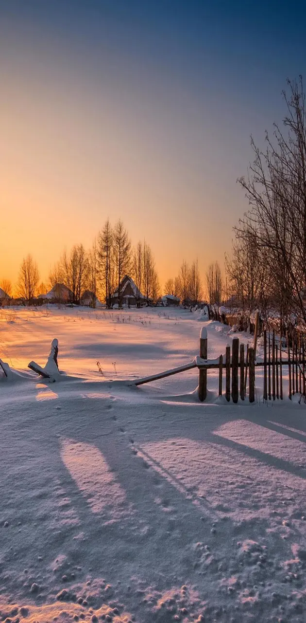 Winter Sunset Snow