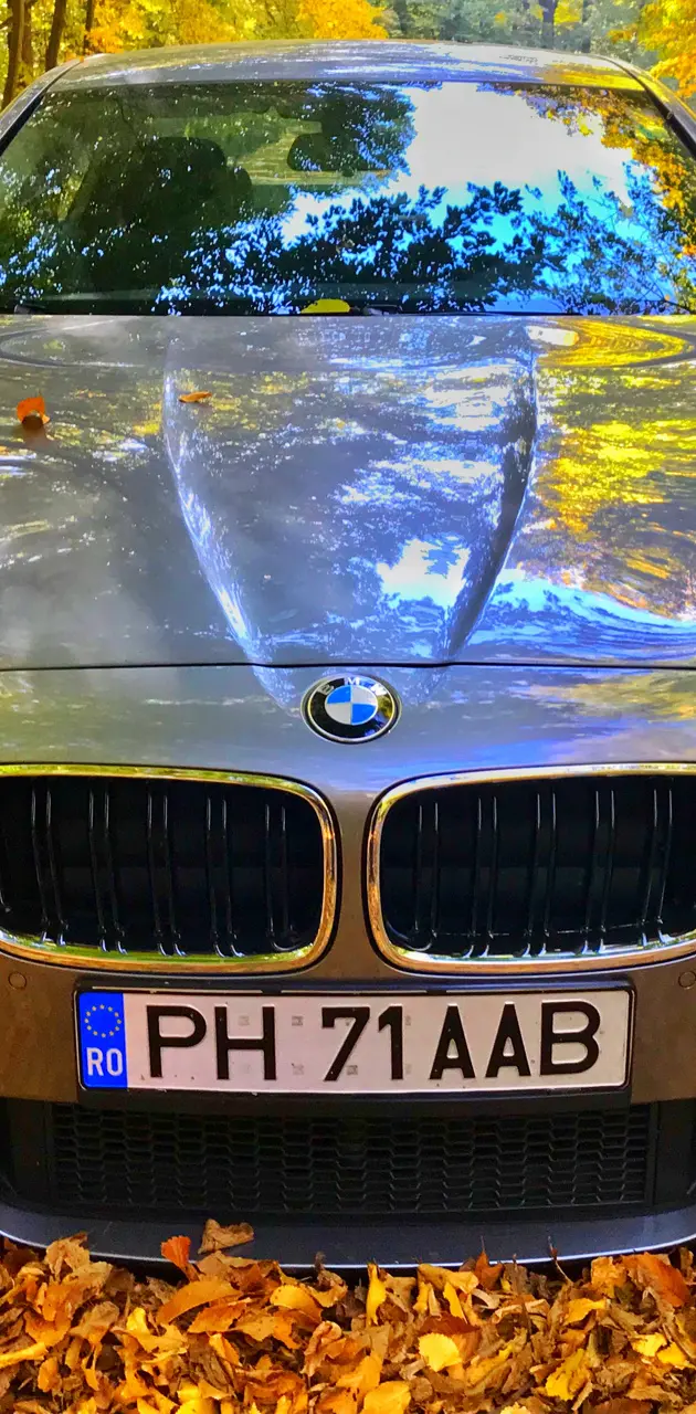 BMW F10 
