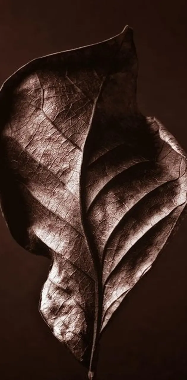 Braun Leaf