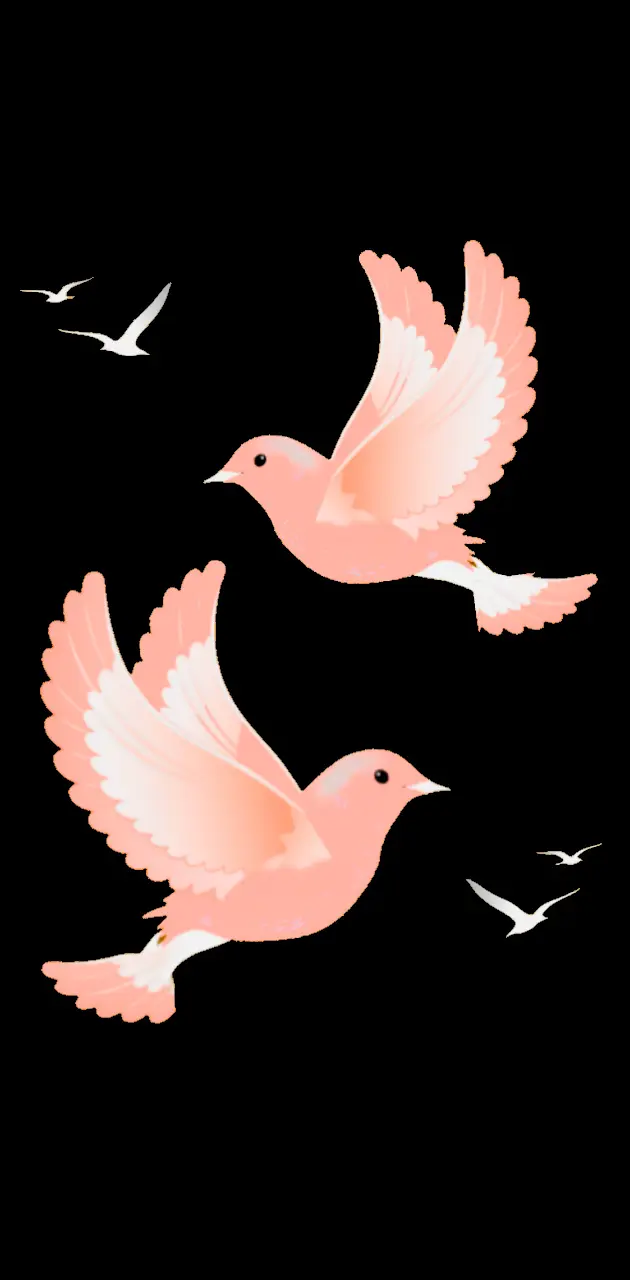 Pink Doves 
