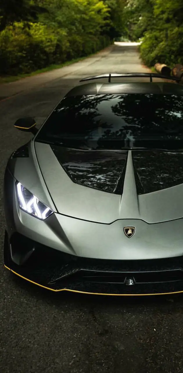 Carbon Lamborghini 
