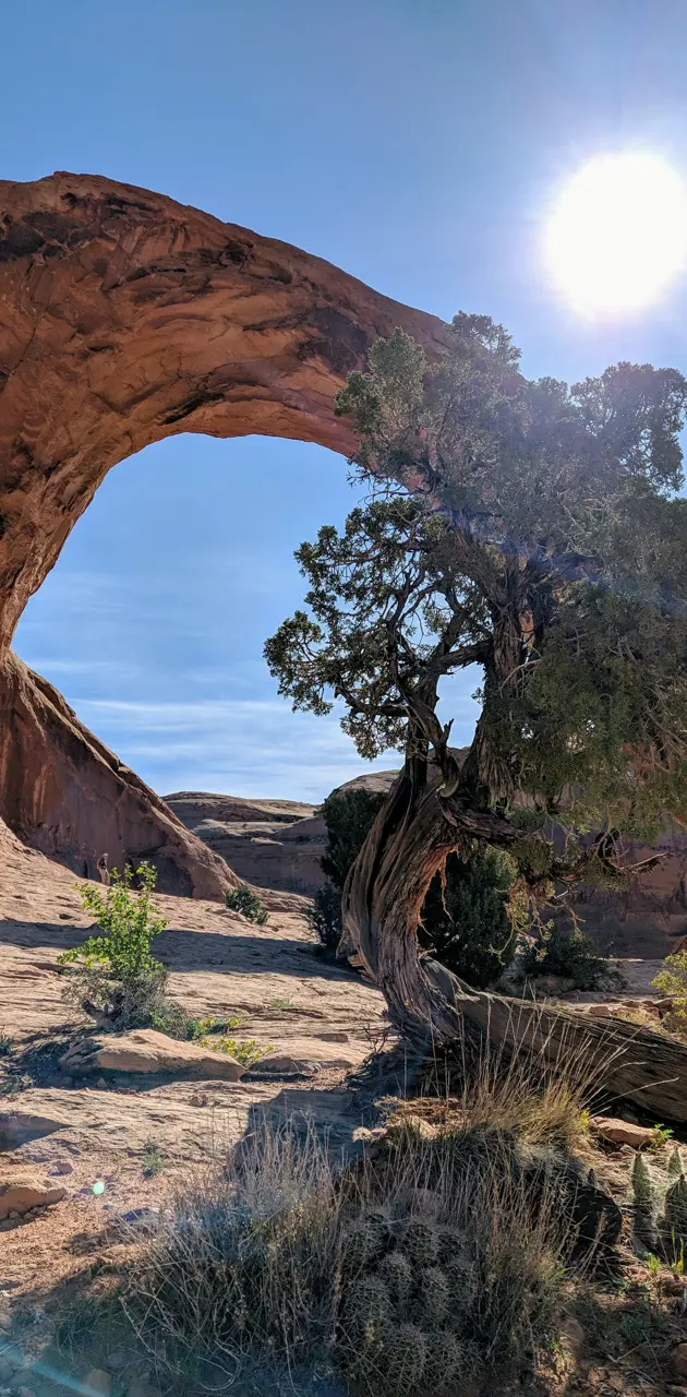 Utah arch