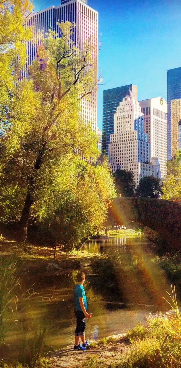 Central Park Sunbeam