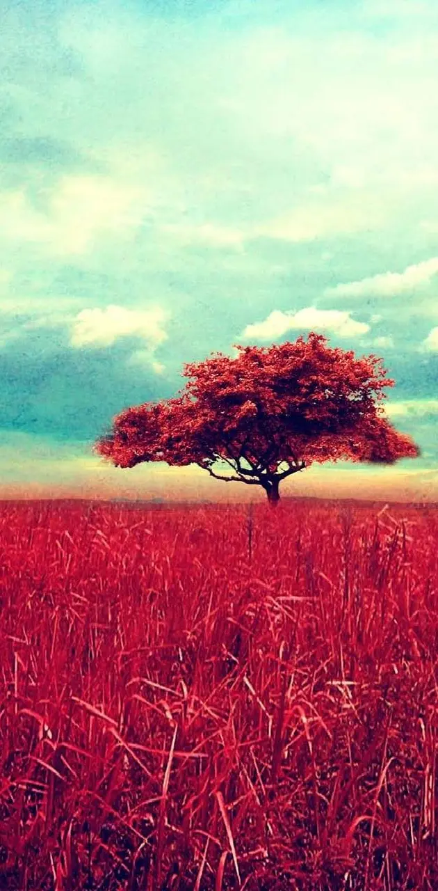 Red tree hd